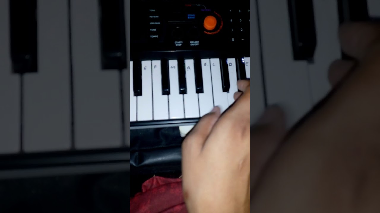 Zoya's music box tune YouTube