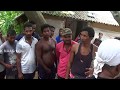 Big Cobra Snake Rescue From: Satabhauni, Langudi Chhak, Odisha