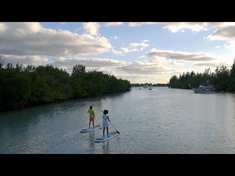 Vidéo: Oleta River State Park : le guide complet