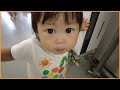 ＜ふわふわちゃんのはじめてさんぽ＞はじめての「どうぶつカフェ」