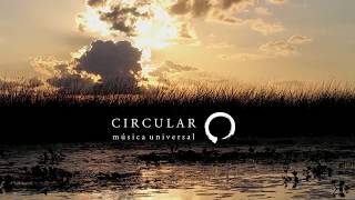CIRCULAR Camino Genki WORLD MUSIC Live DVD recording