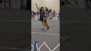 Novi Demo 2/15/25