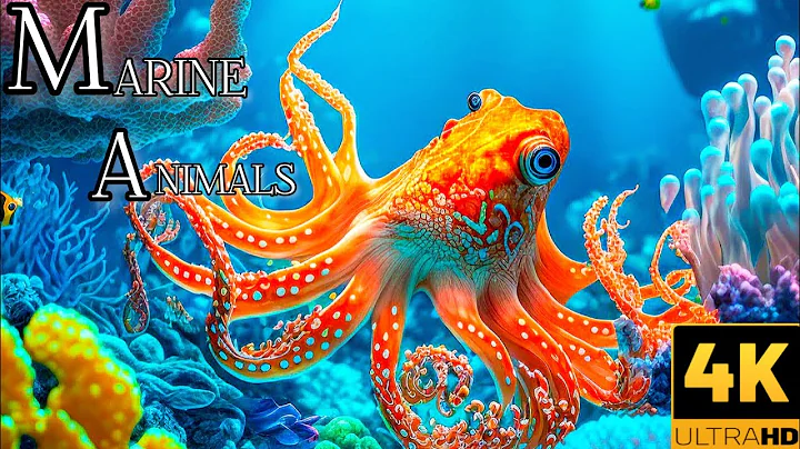 Music of Underwater Wonders + Relaxing Music - The Best 4K Sea Animals for Relaxation