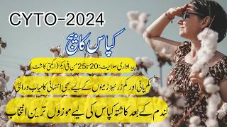 High Yield Cotton Seed CYTO-2024 | 20–25 Maunds Per Acre | Best for Wheat After Crop Ai For Data Chatflow Workshop Cyto 2024 In Edinburgh