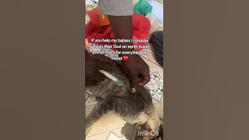 every bit of your donation counts please click on the link in the bio to donate #fyppp #viral #Lucy