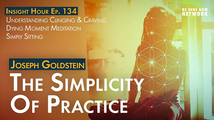 Joseph Goldstein: The Simplicity of Practice  Insi...