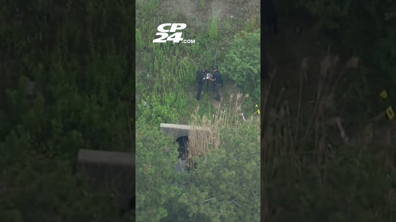 Toronto Police Homicide Investigation Underway After Body Found Near Pickering
