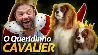 CAVALIER KING, O QUERIDINHO DOS REIS INGLESES! | RICHARD RASMUSSEN