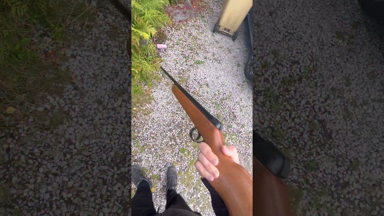 BSA Meteor MK3 vs frying pan