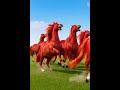 Horse genome