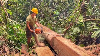 SKILL MENGGUNAKAN MESIN GERGAJI CHAINSAW STIHL 070