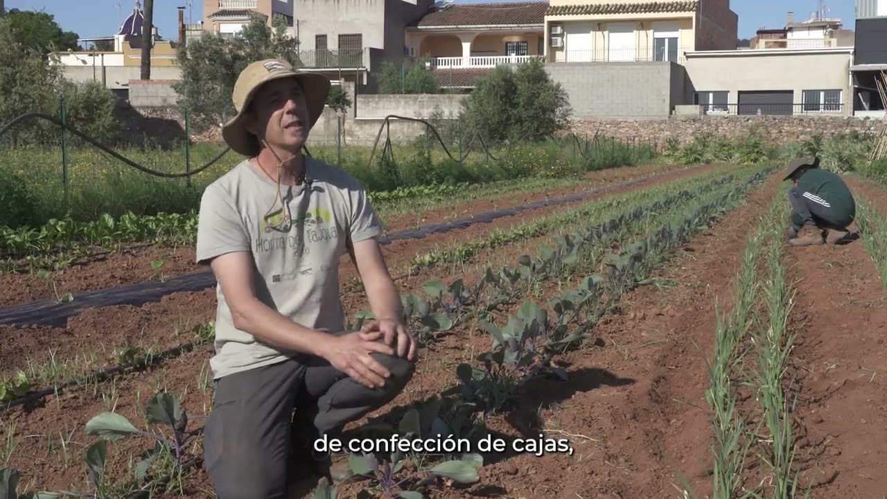 HORTA DEL RAJOLAR. Col.laboració Novessendes-UJI