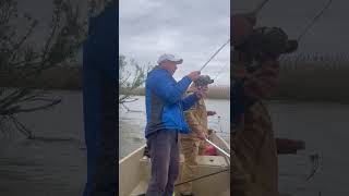 Рыбалка в Астрахани #рыбалка #fishing #астрахань