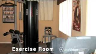 San Angelin Apartments in Mesa, AZ-ForRent.com