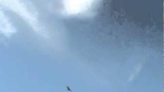 Funjet crash