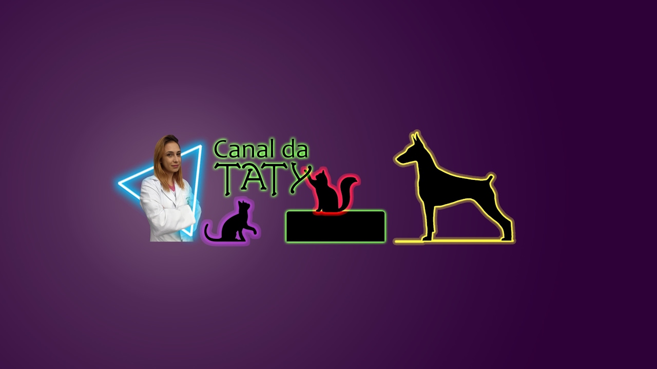 sadfsadf YouTube