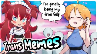 Wholesome Trans MEMES to improve your Mood [r/traa & r/egg_irl] feat. @RedEclips