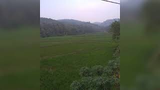 Gambang Kromong sinar mustika