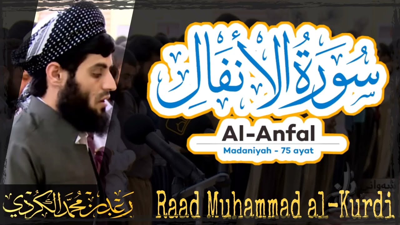 008 Surah Al Anfal | سورة الأنفال by Raad Muhammad al Kurdi | رعد محمد الكردي