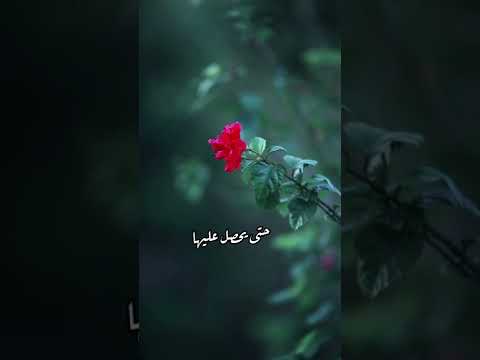 يقول لو عشنا كما يعيش الطفل الطفل ثلاث اشياء يسويها الشيخ بدر المشاري 