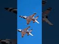 Thunderbird 🦅 Airshow 🇺🇸 #flight #militaryaviation #military #flight #top_gun #aviation #usaf #f18