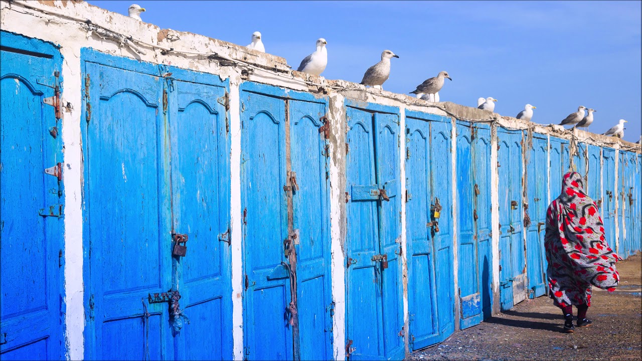 Riyozaki - Hwel El Wed (Camel)