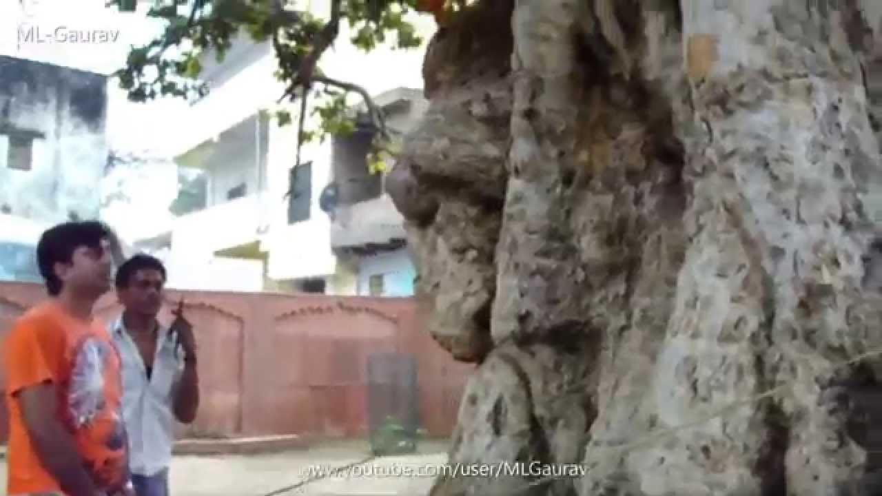 Krishna And Kaliya Naag Place, Real Story (Kaliya Ghat