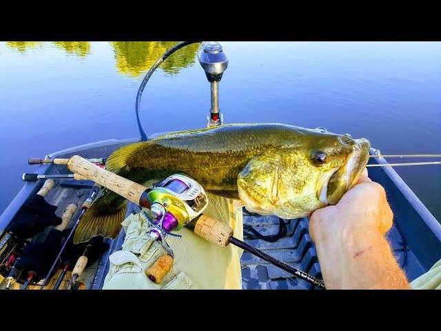 Giant Bass on BFS rod reel TD-ito 103m w rays studio diy shallow