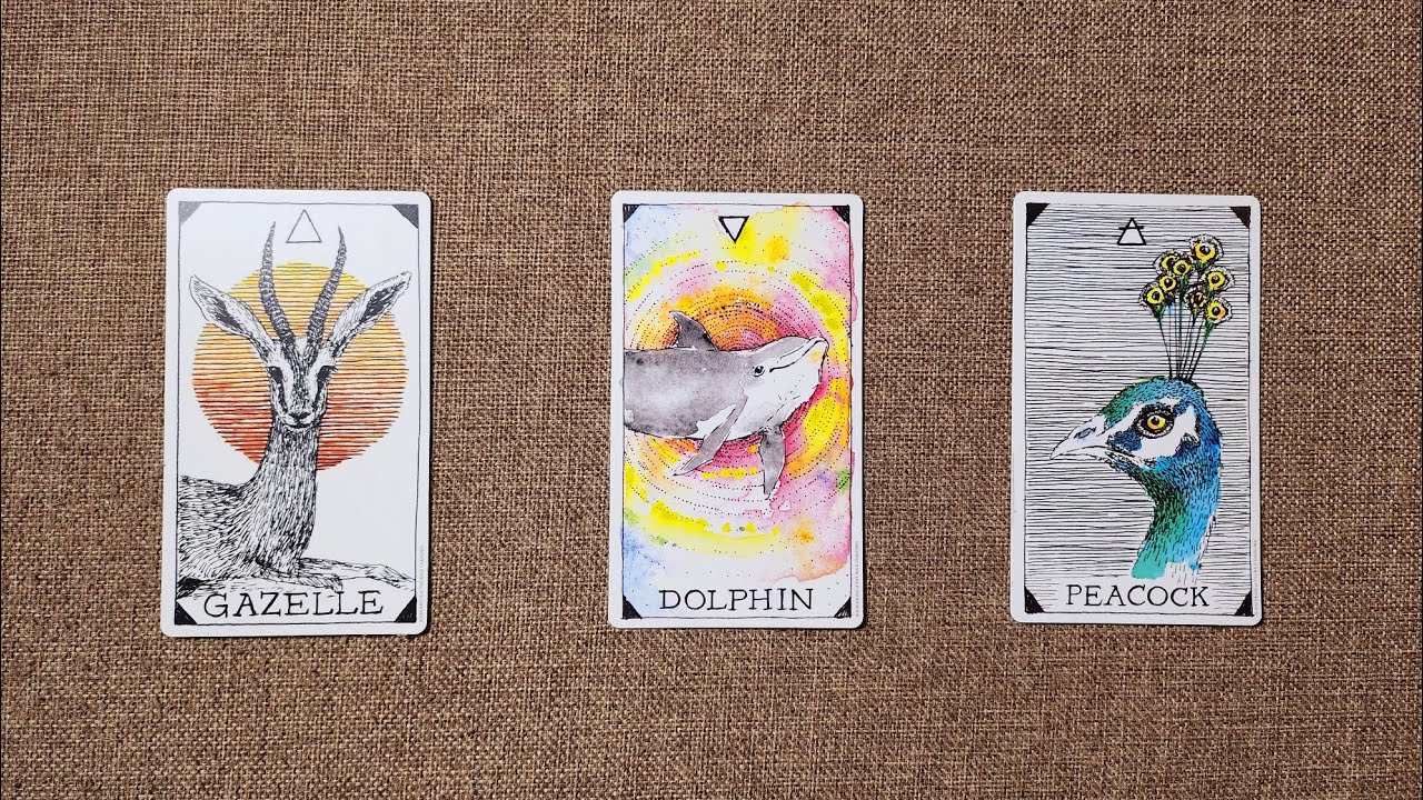 CC字幕｜占卜🔮你將會在哪方面翻身？🌪️🪐🌪️成功走出這個陰霾/困境（領取好運☘️）