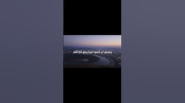 اذكروا الله #تلاوات #اكسبلور #تلاوه #لايك #راحة_نفسية #quran #حالات_واتس #القرآن_الكريم #fyp #foryou