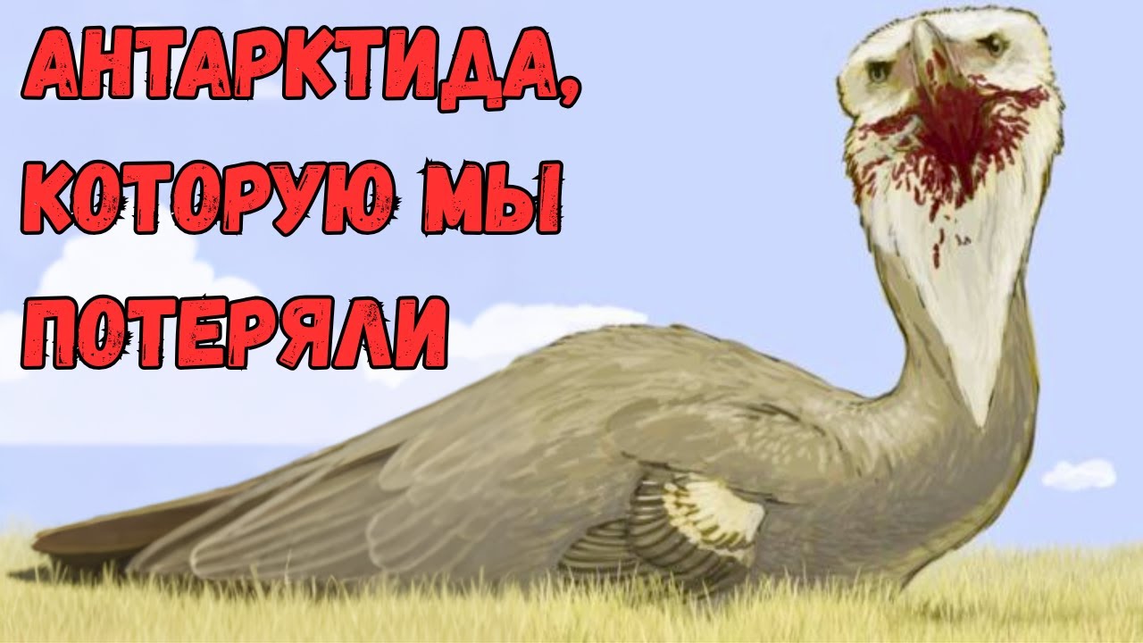 Антарктида До Того, Как Она Замёрзла