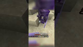The Search For Minecrafts Hidden Tombs