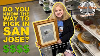 DO YOU KNOW THE WAY TO PICK IN SAN JOSE? Join the Journey on Picker Road!