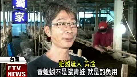 養蚯蚓大翻身 年收入破百萬－民視新聞 - 天天要聞