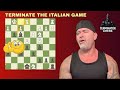 Crush the Italian Game with This Trap #chess #checkmate #chessgame #chessstrategy #chessopening