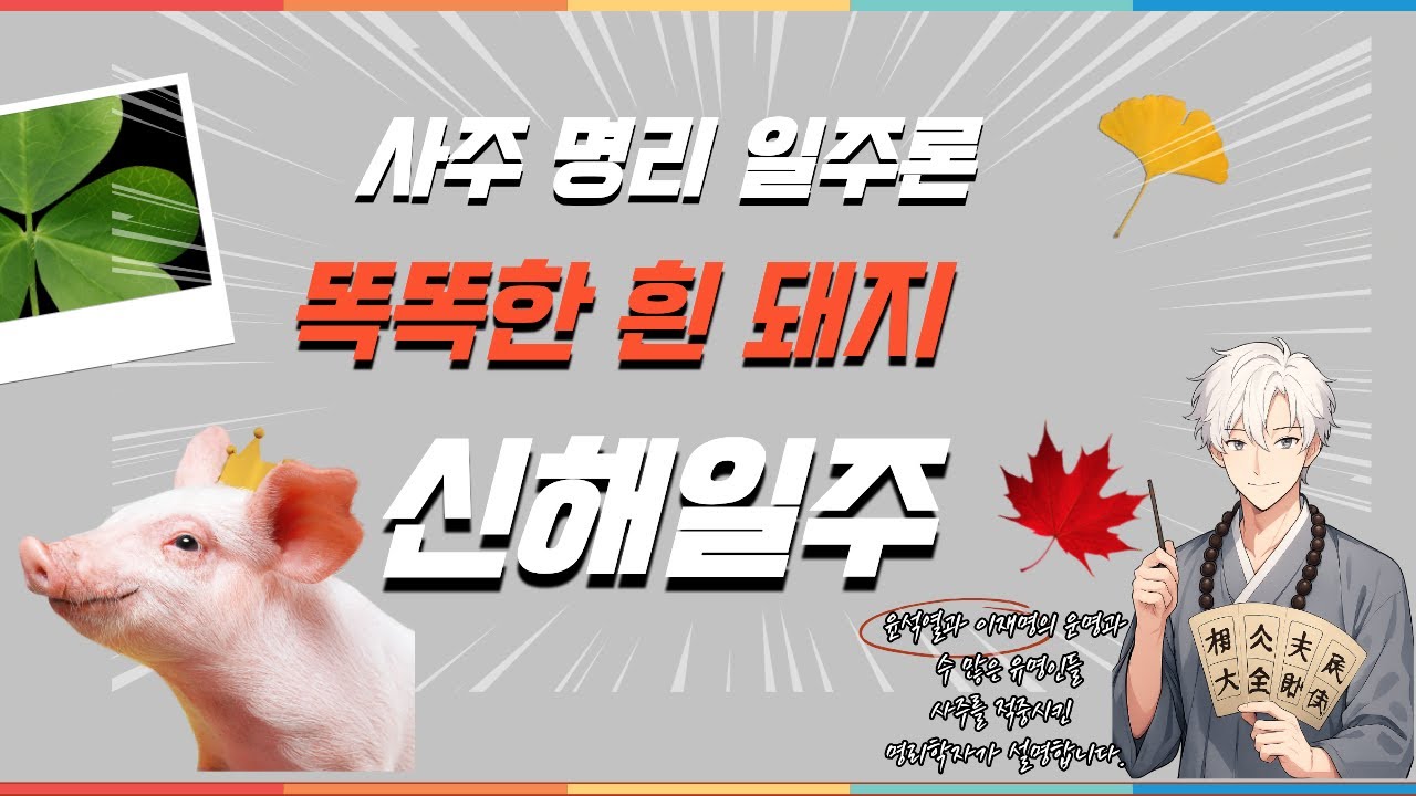 사주 공부에 도움이 될 일주론 신해일주에 대한 전반적인 설명