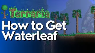 How to Get Waterleaf in Terraria