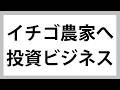 【ニュース解説】話題の「イチゴ農園オーナー」は本当に儲かるのか?ビジネスモデルの裏側を徹底解剖