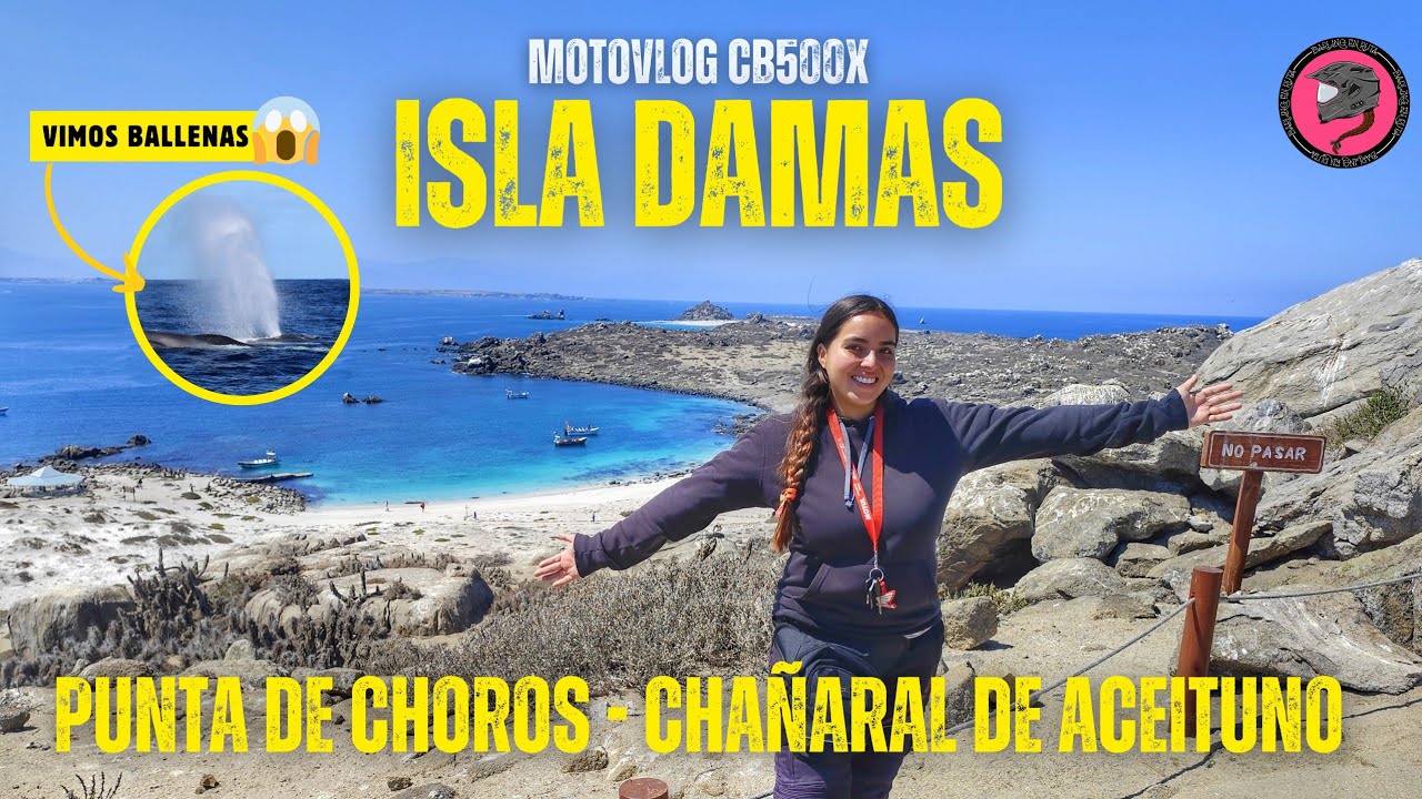 JAMÁS pensé conocer esta Isla PARADISÍACA 😱/Punta de Choros-Chañaral de Aceituno en 🏍️ ISLA DAMAS