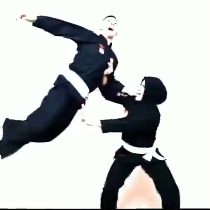 Story Wa Pencak Silat 30detik||Hanifan YK #pencaksilat #shorts #short #shortsvideo #shortvideo