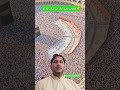 mujhe bhi ek din Yahan bulalo tujhe Tere pyare ka wasta #feed #shortvideo #shortvideo #shorts #yt