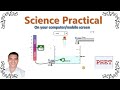 Science practical //Physics chemistry math biology and Earth science//PHET कंप्यूटर पर प्रेक्टिकल