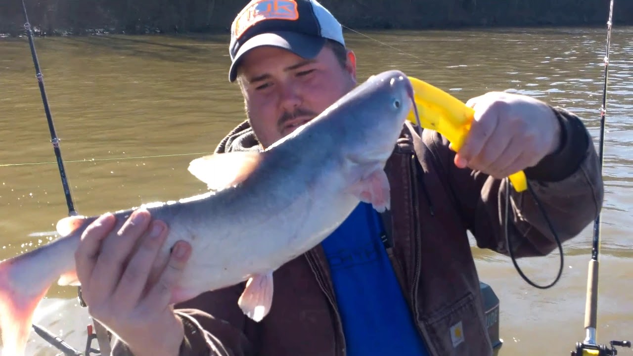 BLACK FRIDAY = BLUE CATFISH on the OHIO RIVER YouTube