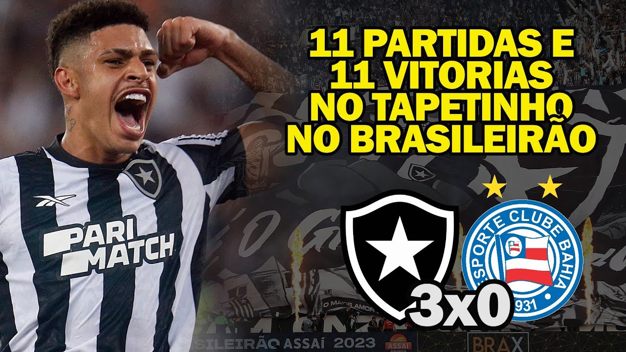 Contra o Goiás, Botafogo atingirá número histórico de público no Nilton  Santos em jogos pelo Brasileirão - Lance - R7 Futebol