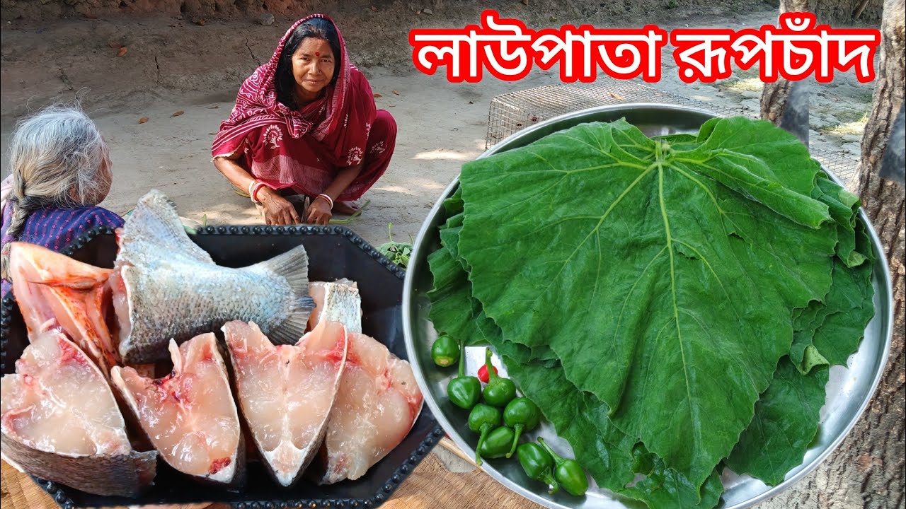 লাউপাতা দিয়ে এইভাবে যেকোনো মাছ একবার রান্না করে দেখুন, এত অসাধারণ লাগে খেতে। Fish Recipe 