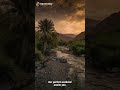 KALBA UAE Hidden Gem #travel #uae