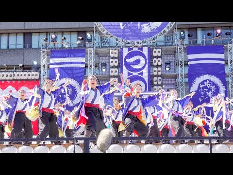 [4K] 極津　安濃津よさこい 2019　津まつり (中央)