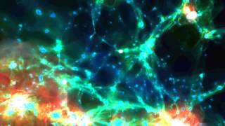 Illustris Simulation of the Universe