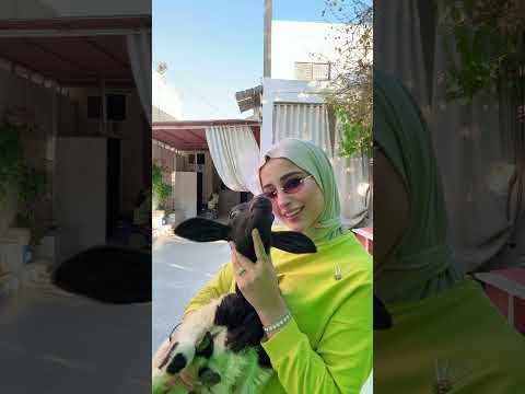 ضحی علی اغنیة الیسا شافونا اتنين