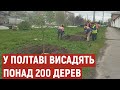 Клени, граби, ялівець: у Полтаві до кінця року висадять понад 200 дерев та 300 кущів